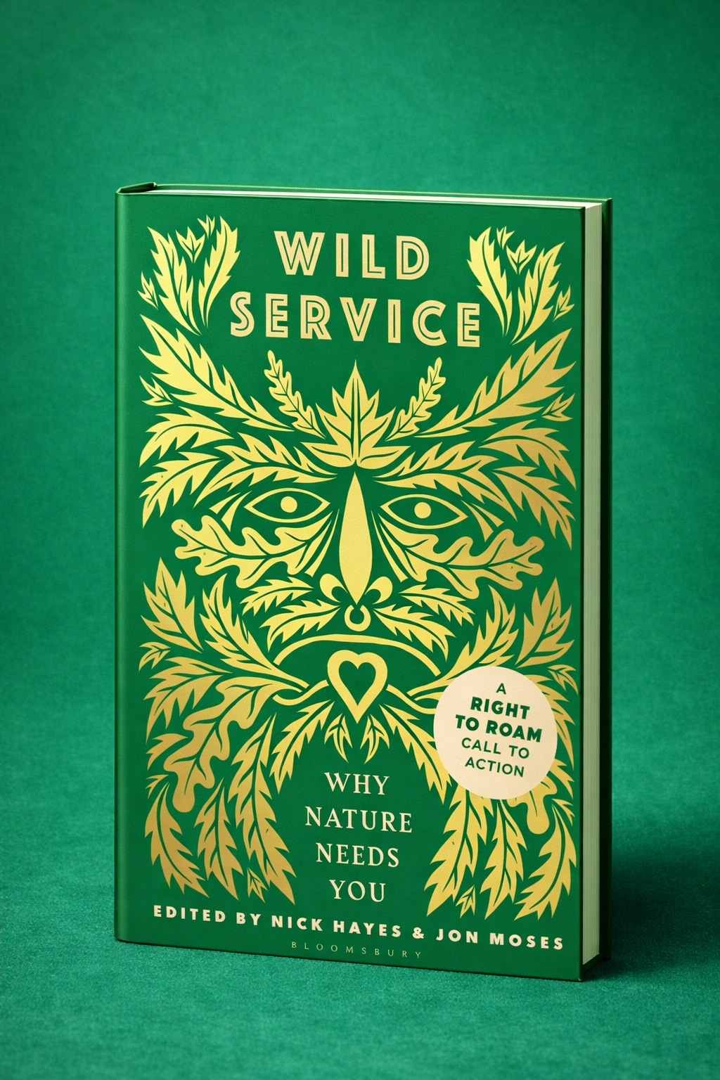 Wild Service by Nick Hayes